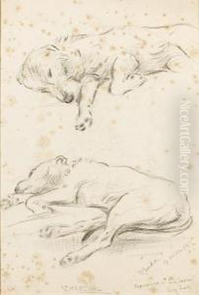 Friend Of Man, Irish Wolf Hound - view 1