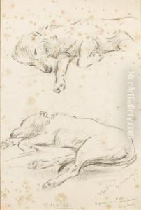 Friend Of Man, Irish Wolf Hound