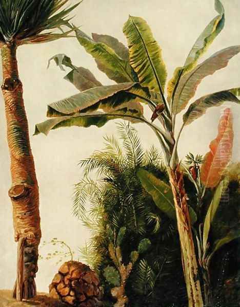 Banana Tree, c.1865 - view 1