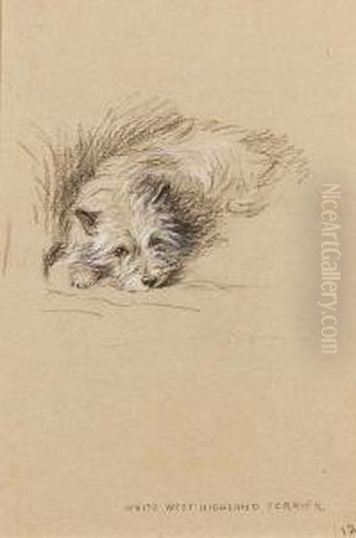 White West Highland Terrier - view 1