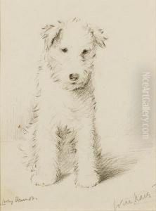 Wire Hair Puppy by Lucy Dawson