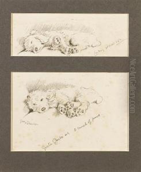 'greta Garbo' Or 'a Bunch Of Paws' - view 1
