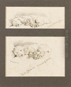 'greta Garbo' Or 'a Bunch Of Paws'