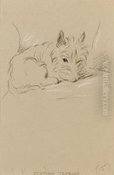 Scottish Terrier - view 1