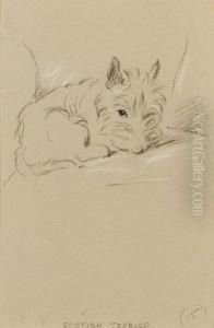 Scottish Terrier