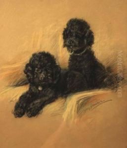 Black Poodles by Lucy Dawson