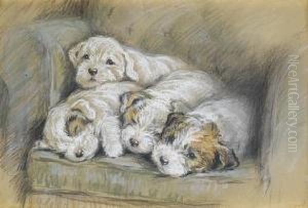Sealyham Puppies - view 1