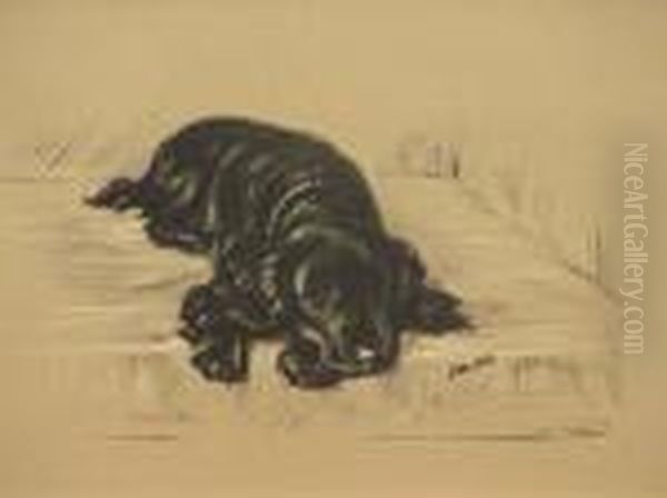 Mac - Black Cocker Spaniel" - view 1