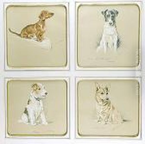 Perros - view 1