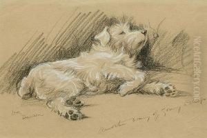 Another Way Of Going To Sleep by Lucy Dawson