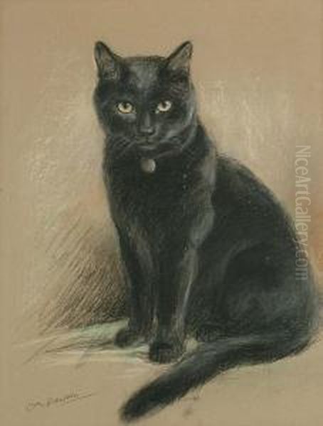 Portrait Of A Black Cat - view 1