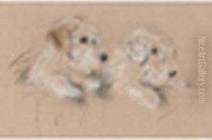 Sealyhampups by Lucy Dawson