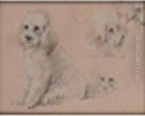 Studies Of Apoodle Coloured Chalks On Buff Paper 8 X 1in - view 1