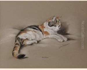 Tutsy, A Cat