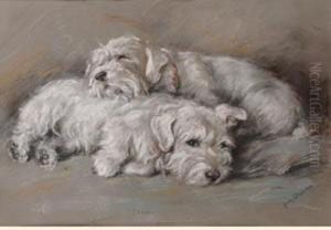 Idlers by Lucy Dawson