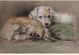Brown Eyes by Lucy Dawson