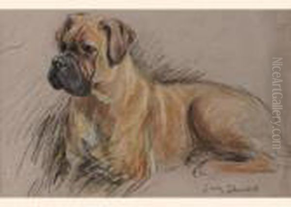 A Boxer - view 1