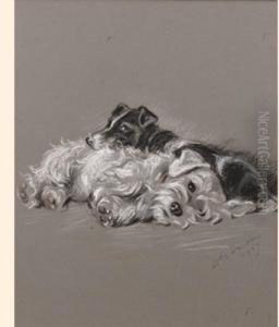 Dogs Rough And Smooth by Lucy Dawson