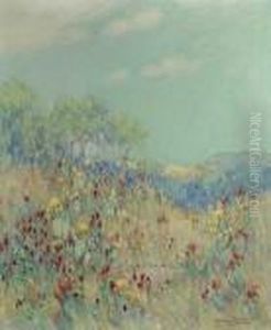 Texas Hill Country With Blooming Cactus