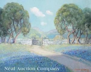Texas Bluebonnets by Dawson Dawson-Watson