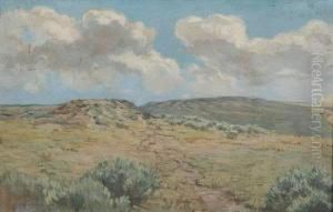 Texas Hill Country Landscape by Dawson Dawson-Watson