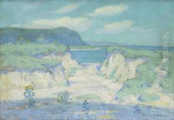 Sunlight Through The Dunes - view 1