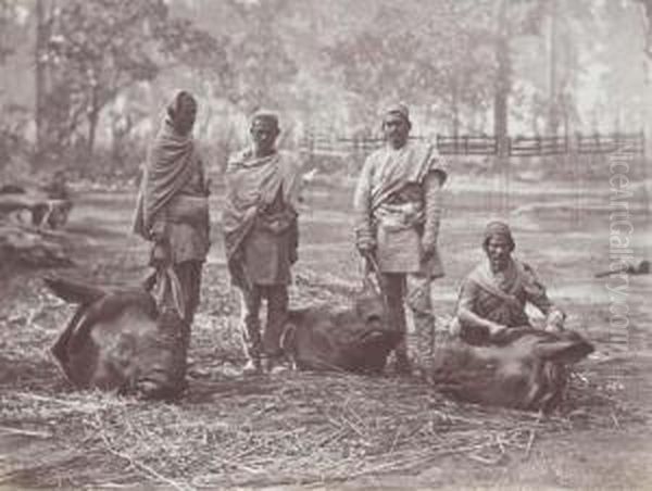 Nepal And India - view 1