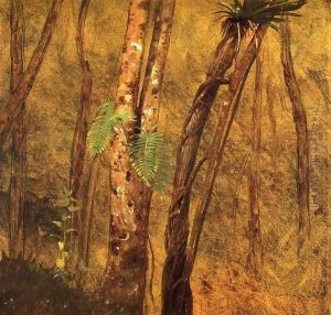 Plant Study, Jamaica, West Indies by Frederic Edwin Church