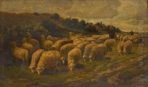 Le Troupeau De Moutons by Franz De Beul