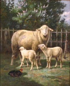 Sheep &amp; Hen