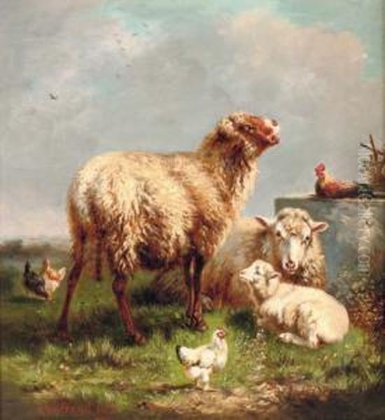 Sheep And Chickens In A Pasture - view 1