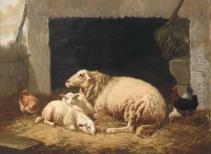 Sheep Resting In A Barnyard by Henri De Beul