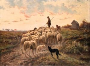 Shepherding The Flock