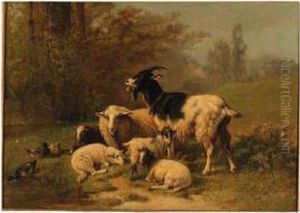 Sheep And Goats Resting On A Riverbank by Henri De Beul