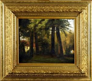 Sous-bois