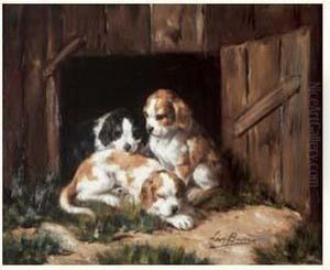 Les Chiots Les Chiots