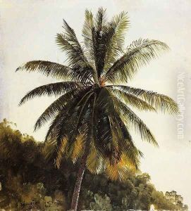 Palm Trees, West Indies by Frederic Edwin Church