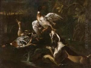 Cane Con Uccelli In Un Paesaggio by Baldassare De Caro