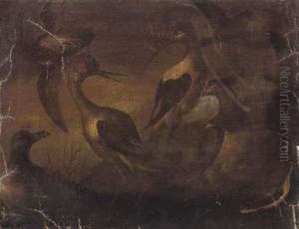 Storks In A River Landscape - view 1