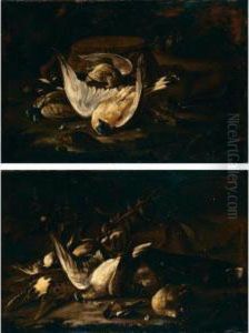 Nature Morte Con Cacciagione