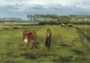 Vachere Dans Un Paysage