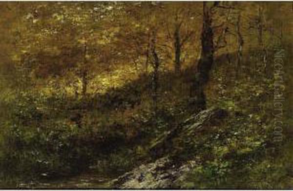 An Autumn Forest - view 1