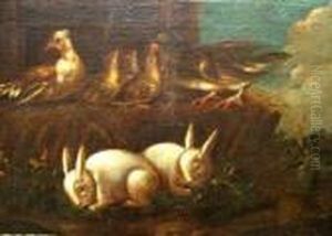 Birds And Rabbits In A Barn by David de Coninck