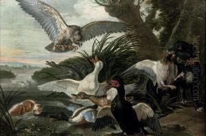 Waterfowl Under Attack By Two Springer Spaniels And A Buzzard