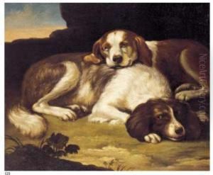 Natura Morta Con Due Spaniels by David de Coninck