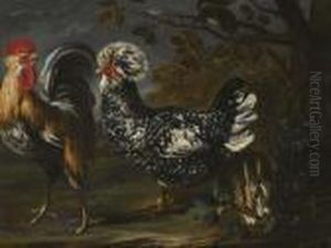 Rooster, Hen, Hare And Squirrel. by David de Coninck