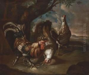 Fowl In A Landscape