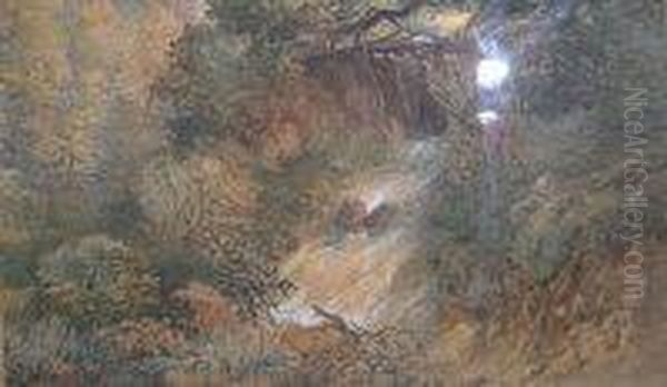 Woodland Waterfall - view 1