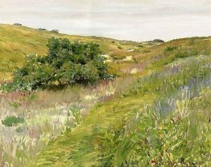 Landscape Shinnecock Hills by William Merritt Chase