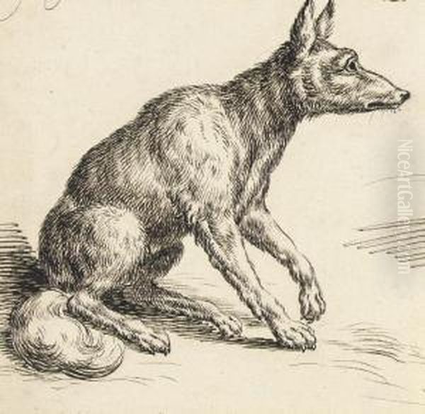 A Seated Fox In Profile To The Right - view 1